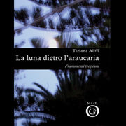 2. La luna dietro l'araucaria