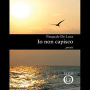 3. Io non capisco 