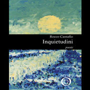 8. Inquietudini