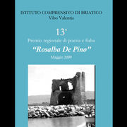4. 13° Premio regionale Rosalba De Pino