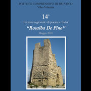 6. 14° Premio regionale Rosalba De Pino