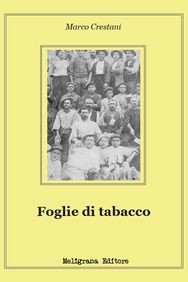 Foglie di tabacco.jpg